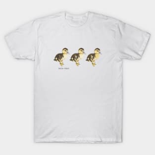 Three Little Chicks T-Shirt